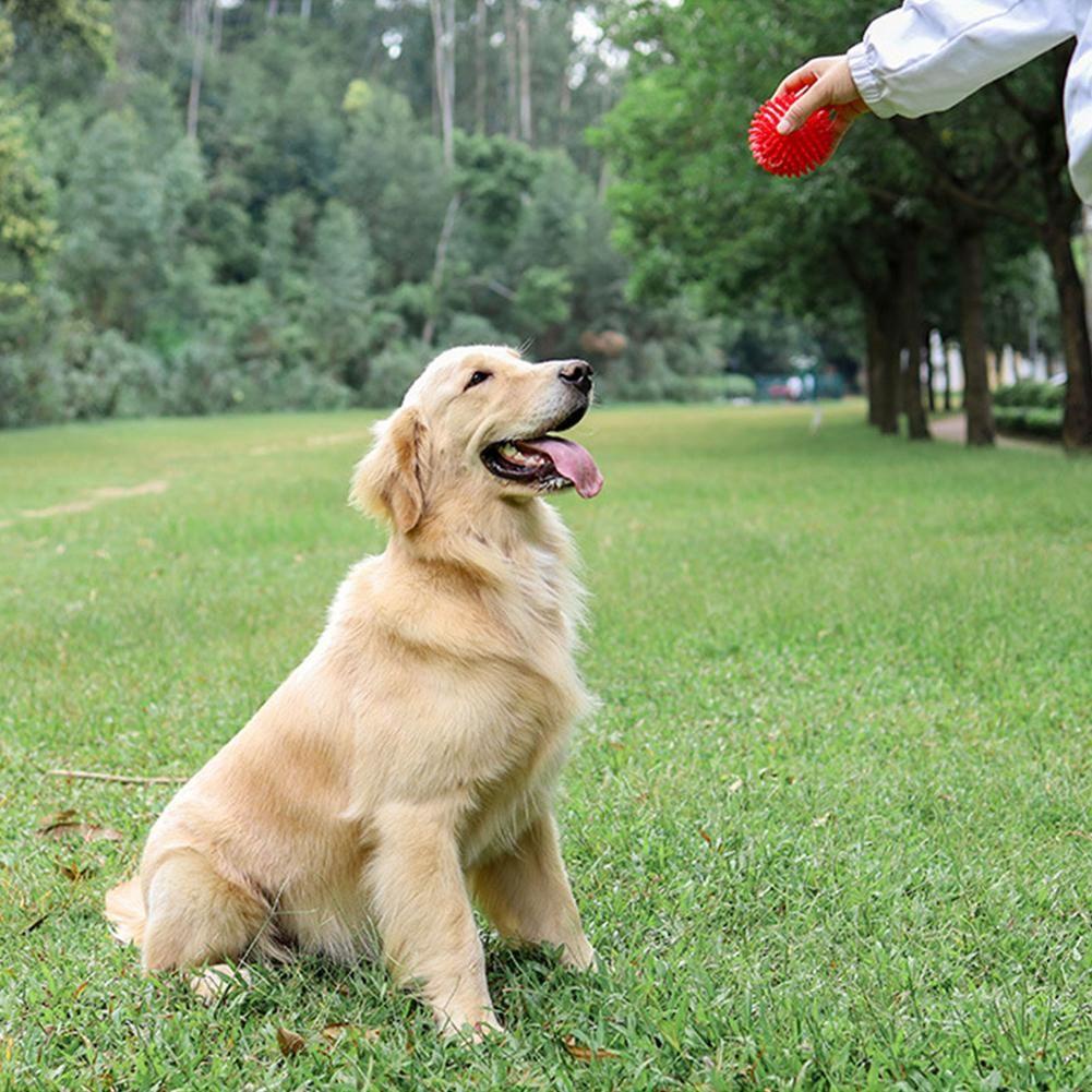 NICKOLAS1 Spikey Balls Colorful Karet Untuk Golden Retriever Anjing Besar Anjing Anjing Mengunyah Mainan Persediaan Hewan Peliharaan Agresif Mengunyah Bola Landak