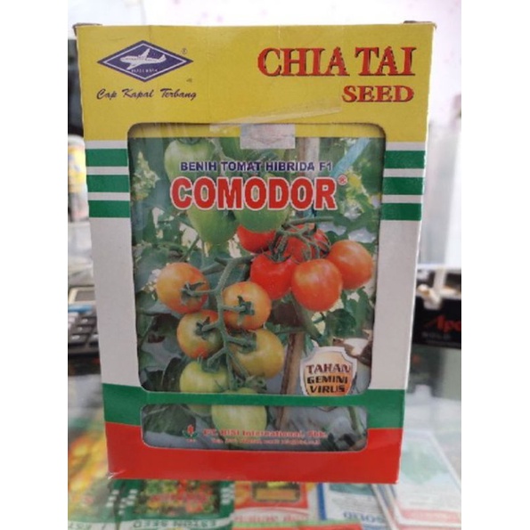 

Benih tomat hibrida comodor terbaru dari chia tai