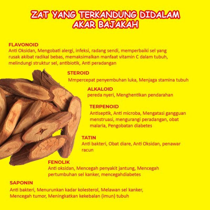 Bajakah Root Tea : Teh Akar Bajakah Merah Isi 30 Tea Bag