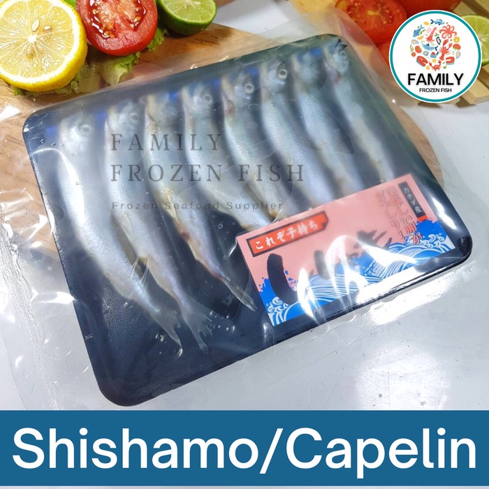 

Ikan Shisamo Full Telur Import | Shisamo/Capelin Premium Quality - BARU