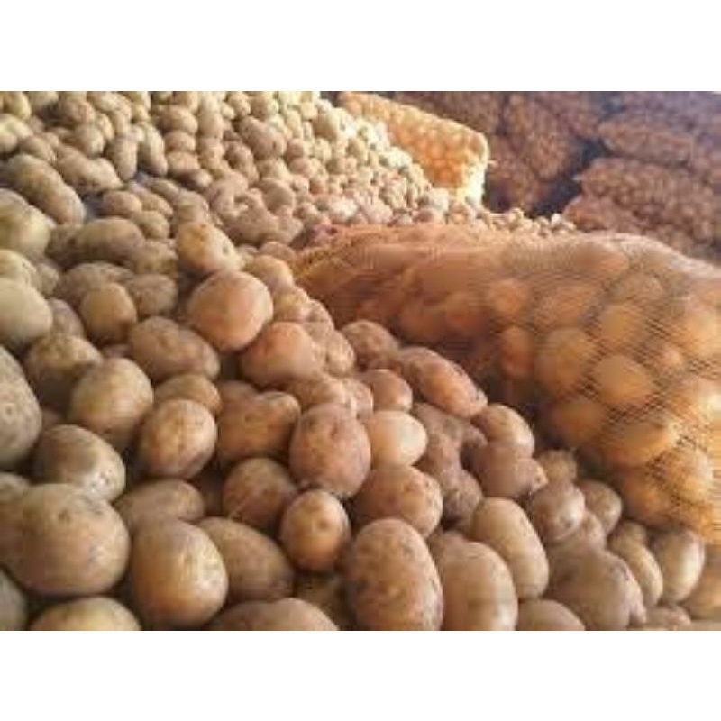 

kentang top 1kg