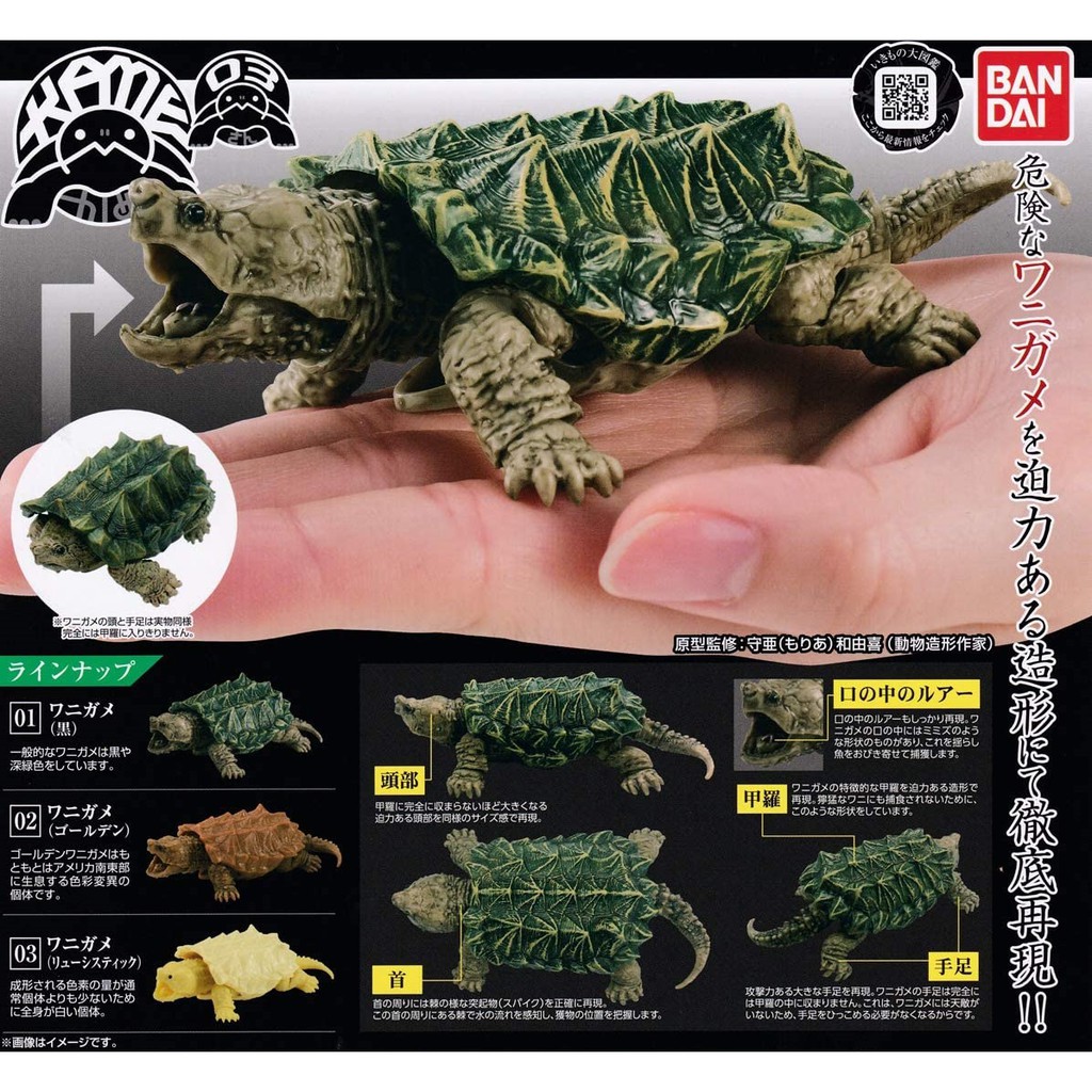 Kame 03 Wanigame Alligator Snapping Turtle Kura Buaya Bandai Gashapon Dangomushi