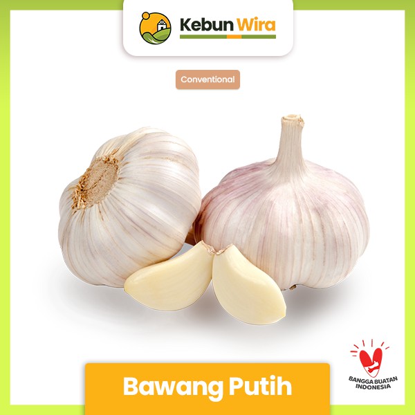 

Bawang Putih Conventional