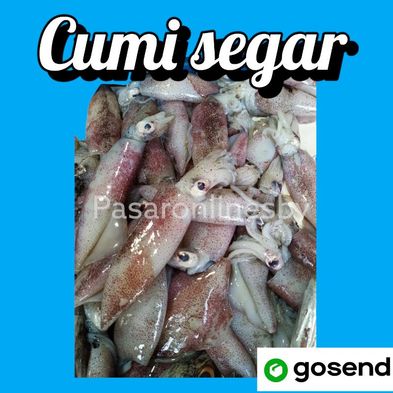 

PASAR GUBENG - Cumi Segar