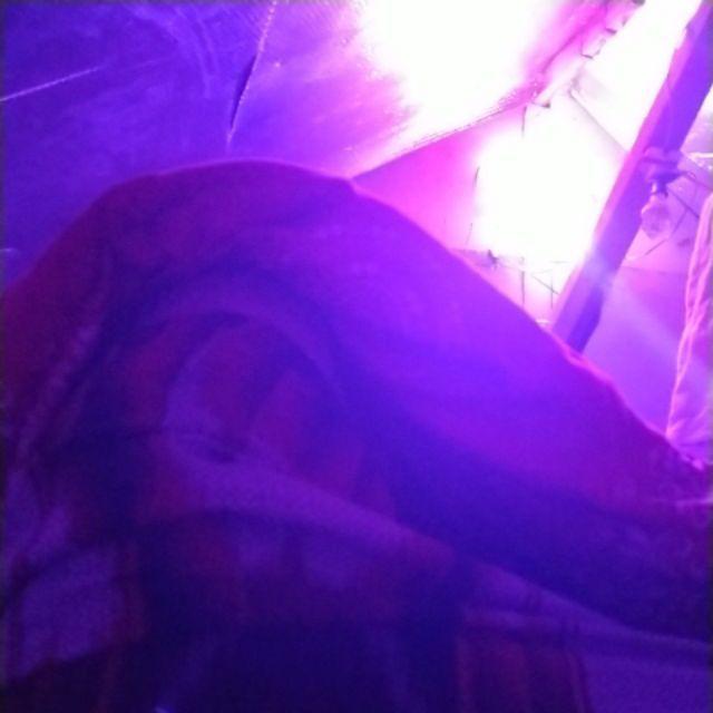 Bibit Cabe Rawit Almia 01 Isi 5 Gram | Benih Cabe | Bibit Cabai Rawit | Bibit Cabe Rawit Unggul