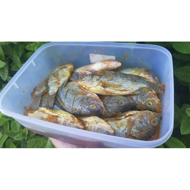 

ikan mujaer bumbu kuning