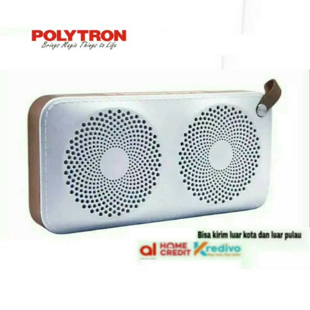 SPEAKER POLYTRON PSP B2