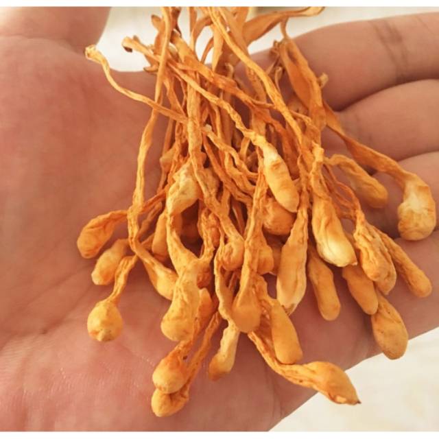 

Cordyceps Flower Dry Mushroom 250gr , 500gr