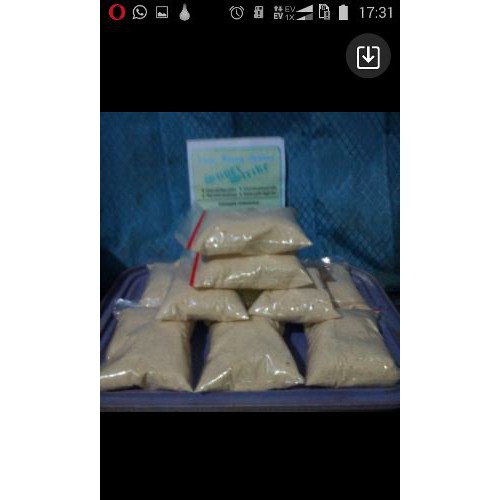 Essen Telur Ikan Sapu Sapu 3 Botol 20 ml Terbaik