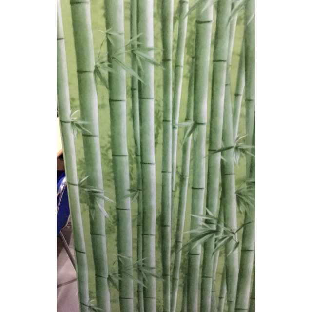 Fantastis 11 Lukisan Dinding  Motif Bambu Bari Gambar