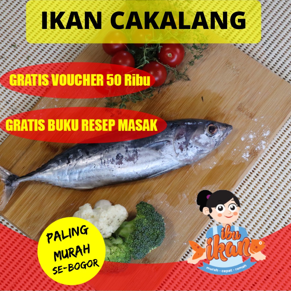 

IKAN CAKALANG FRESH SEGAR 1 KG FROZEN UNTUK SUWIR ASAP FUFU RABE