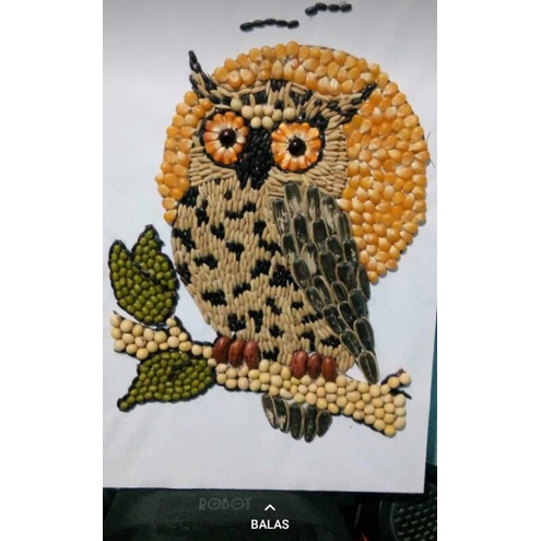 kolase biji bijian burung hantu