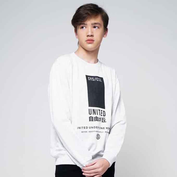 Sale Terlaris SEYES 1076 Tumblr Tee Sweatshirt Sweater Lengan Panjang Pria Babyterry