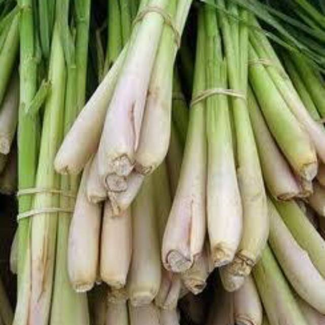 

rempah sereh buat bumbu masak