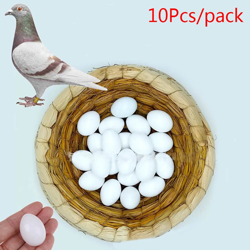 10pcs Telur Burung Merpati Warna Putih Polos Bahan Plastik