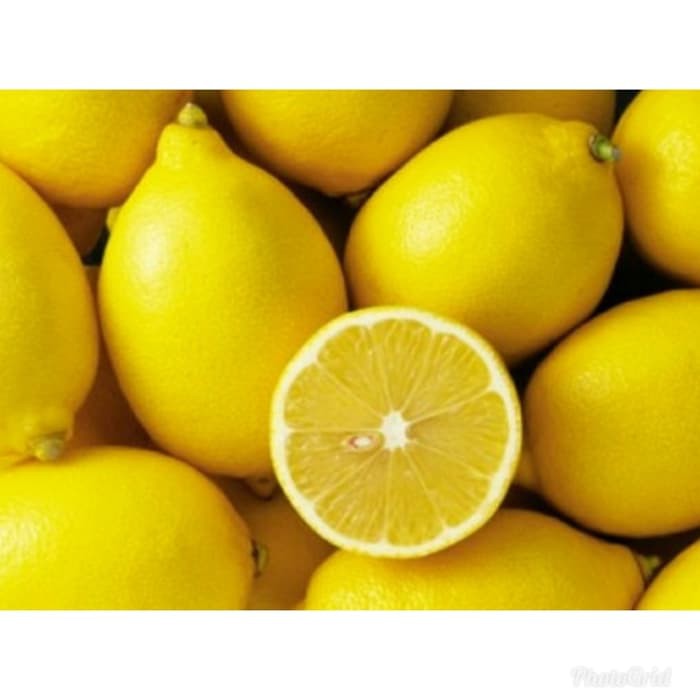 Biji Buah Lemon Import - Bibit Tanaman Buah Lemon Import - Buah Lemon Import - COD