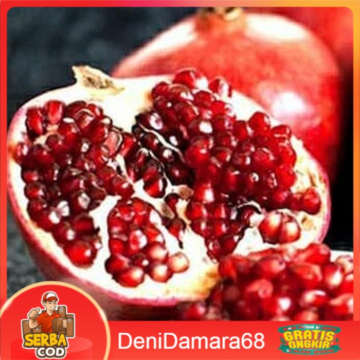 Bibit buah delima merah biji lunak red ruby pomegranate spanyol