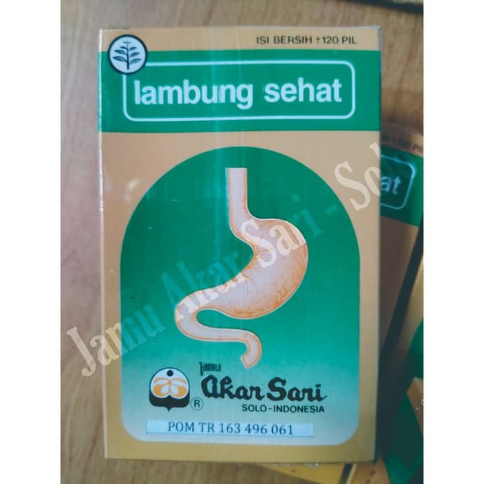 Lambung Sehat Pil Jamu Sakit Maag Perut Kembung Mual GERD Herbal