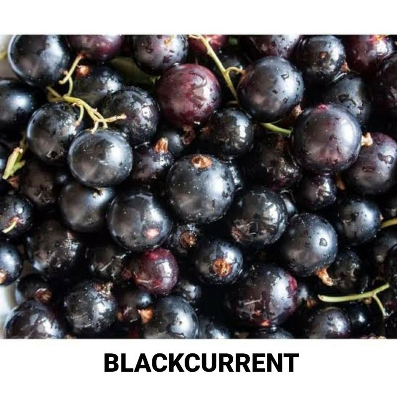 

BLACKCURRENT FROZEN 250& 500GRAM