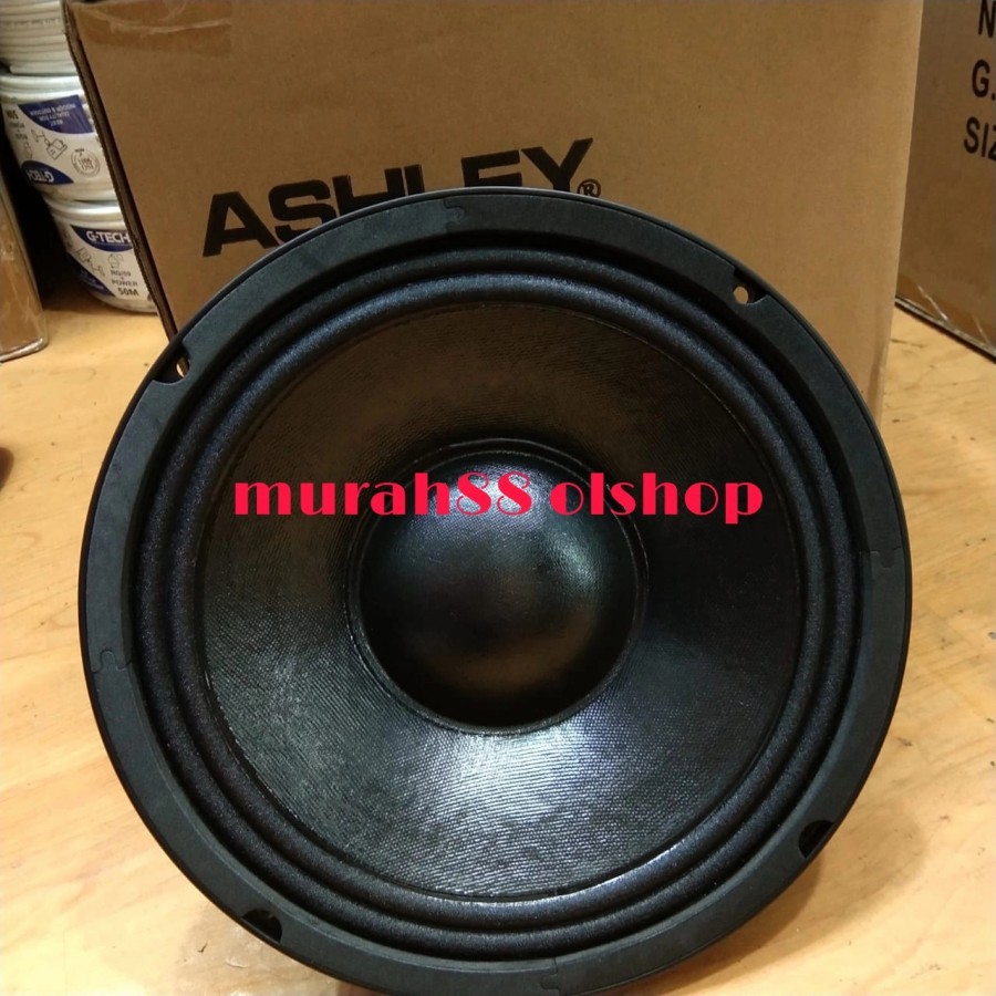 Speaker component ashley v10c3 10in