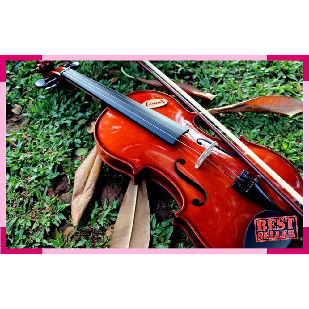 Promo  Biola Makoa Include Hardcase Bow Terbaik