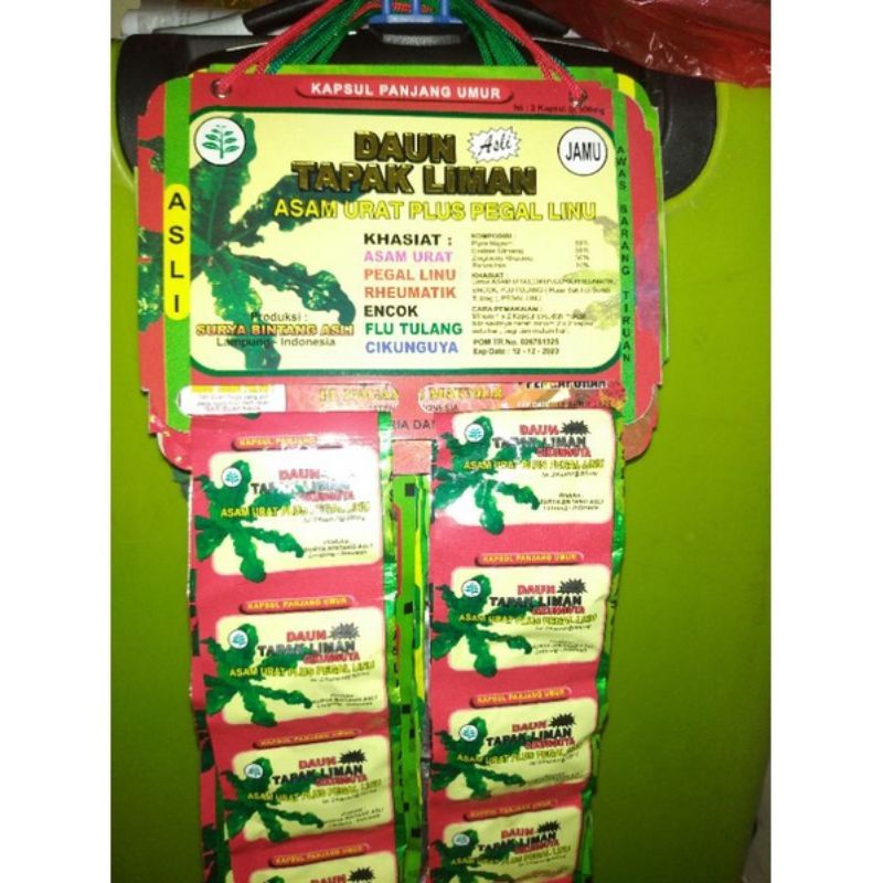 

Daun Tapak Liman Kapsul