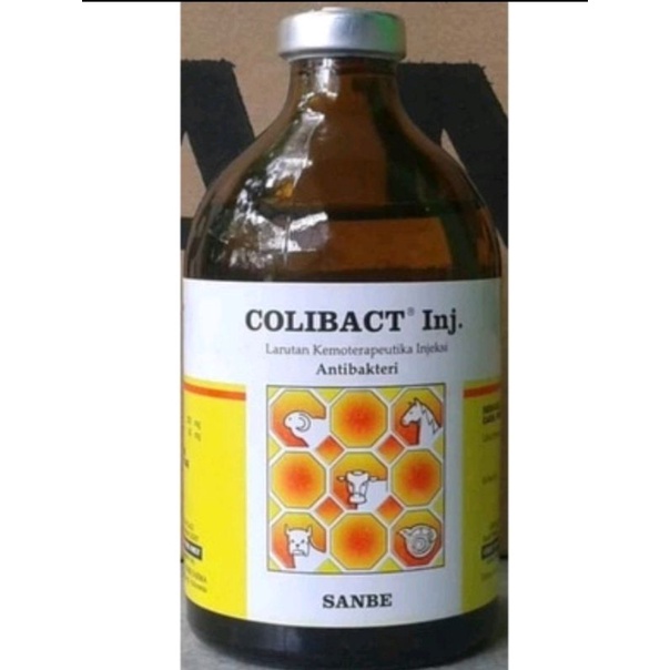 Colibact injeksi 100 ml sanbe obat antibiotik hewan batuk pilek diare
