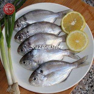 

IKAN BAGAS SEGAR Hasil Laut Segar