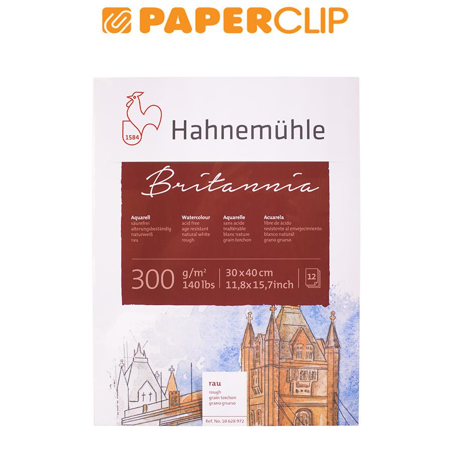 

KERTAS CAT AIR HAHNEMUHLE BRITANNIA 10628972