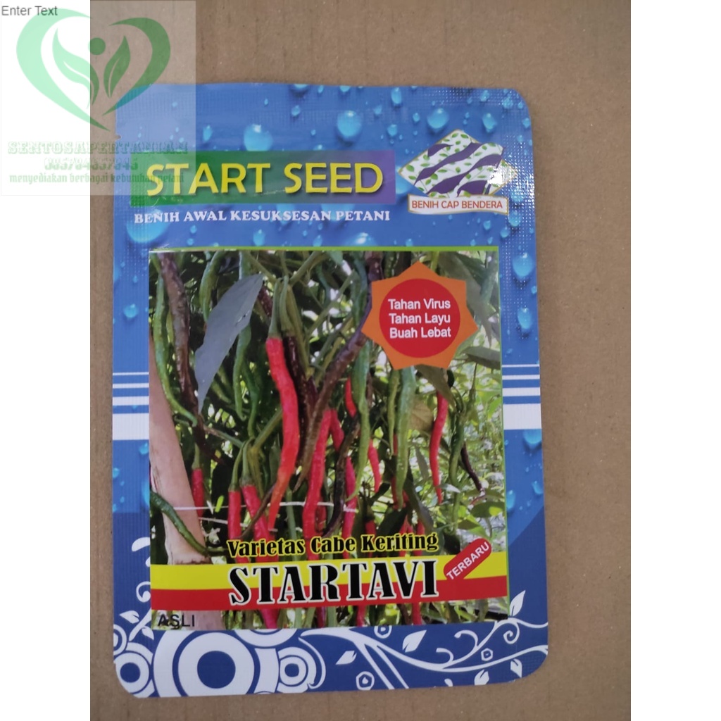 Benih cabai keriting hibrida tahan virus STARTAVI isi 10gr dari START SEED