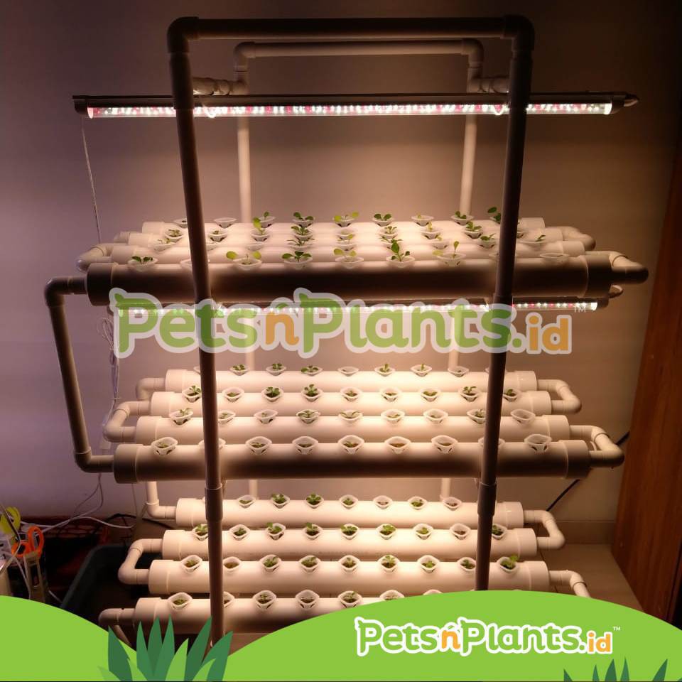 HYDROPONIC SET INDOOR GROWING SYSTEM FULL SPECTRUM GROW LIGHT PVC-U 2,5 INCHES 108 HOLES IMPORTED