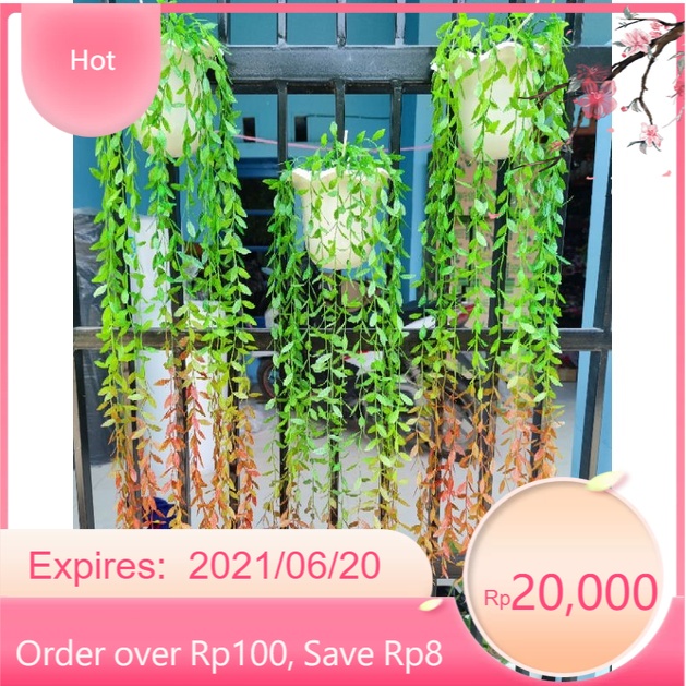 LEE KWAN YEW ARTIFICIAL Tanaman Le Kuan Yu Tanaman Juntai Lee Kwan Yew Pucuk Merah