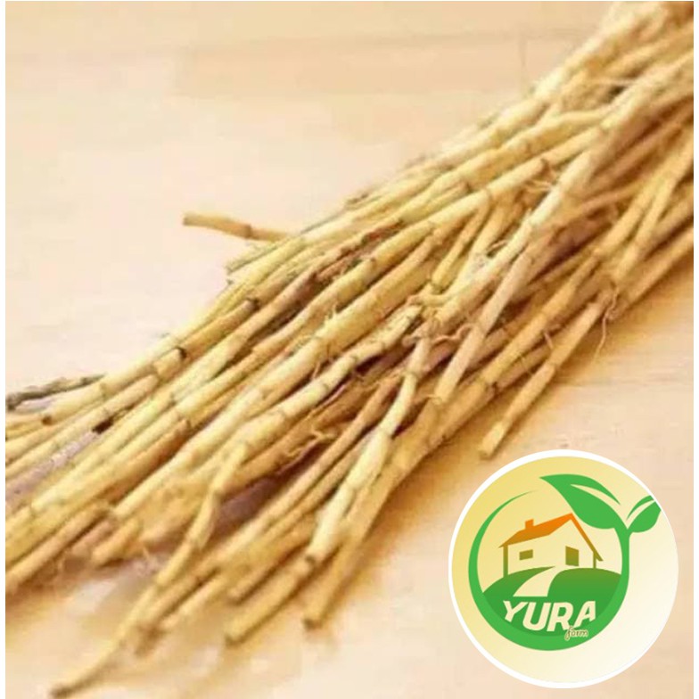 

ALANG - ALANG Organik 100% Sayur Segar Organik