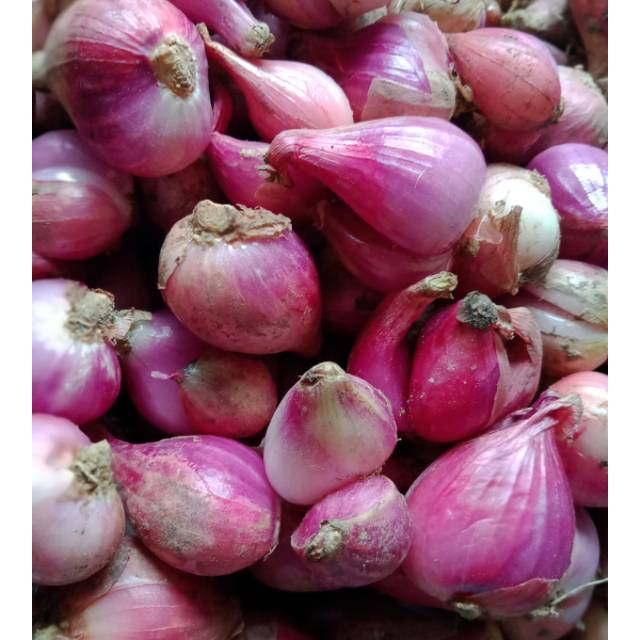 

Bawang Merah