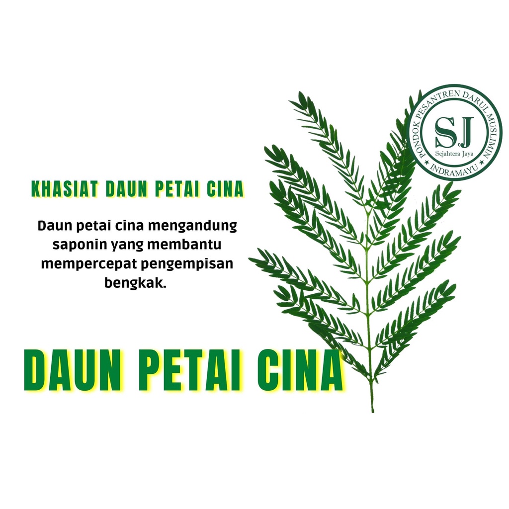 DAUN PETAI CINA KERING / SEGAR 100 gram
