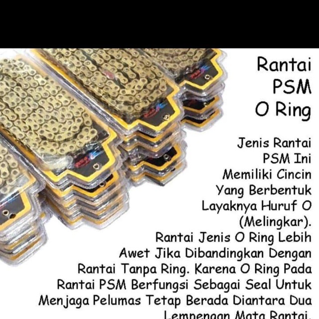 RANTAI PSM O RING 520-120