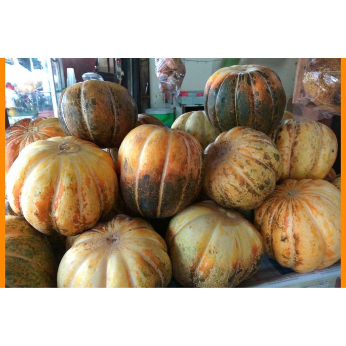 Biji Buah Blewah - Bibit Tanaman Pohon Buah Blewah - Benih Buah Blewah - Buah Blewah - COD