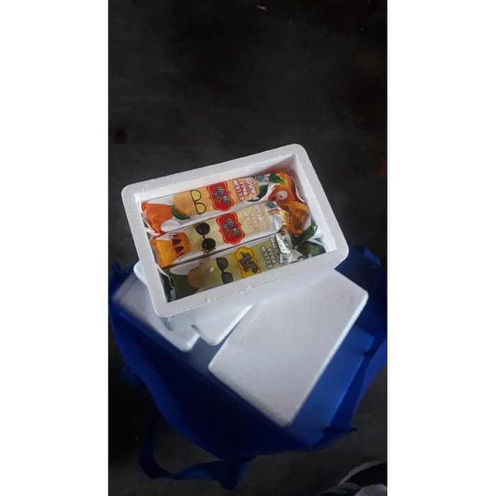 STYROFOAM / STEROFOAM MINI BOX 16X11X10