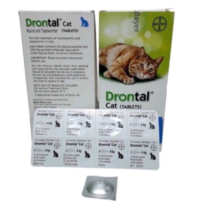 Drontal Cat - Obat Cacing Kucing 1 Tablet