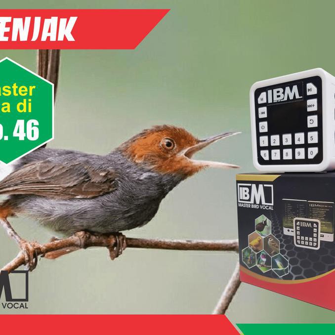 Ibm Master Bird Vocal / Audio Master / Masteran Burung / Mp3