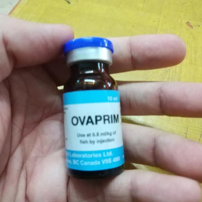 

ovaprim syndel hormon induk made in canada 10 ml
