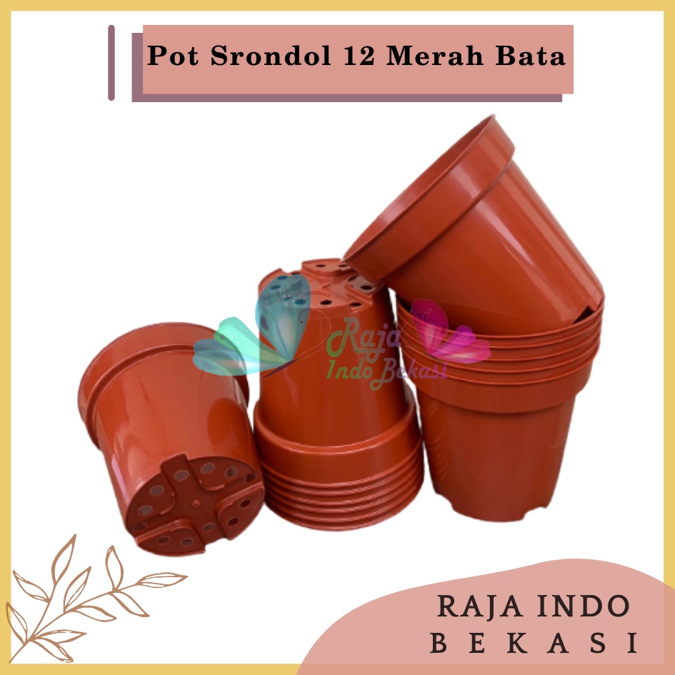 Pot Tinggi Srondol 12 Merah BataTerracota Terracotta Merah Coklat - Pot Tinggi Usa Eiffel Effiel 18 20 25 Lusinan Pot Tinggi Tirus 15 18 20 30 35 40 50 Cm Paket murah isi 1 lusin pot bunga plastik lusinan pot tanaman Pot Bibit Besar Mini Kecil Pot Srondol