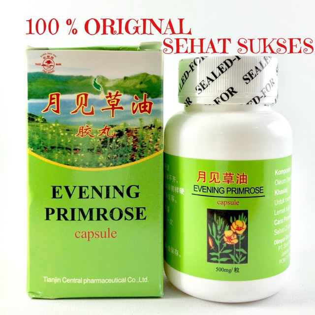 EVENING PRIMROSE SOFT CAPSULE ( OBAT KOLESTEROL/ LEMAK DARAH )