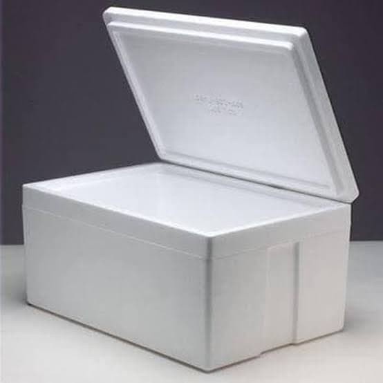 

Box untuk pembelian frozen food