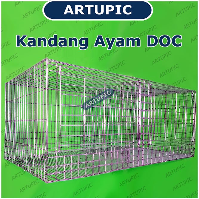 KANDANG AYAM KECIL DOC PULLET BATERAI KAWAT GALVANISE KANDANG ANAK AYAM 100x50x40cm 2 pintu