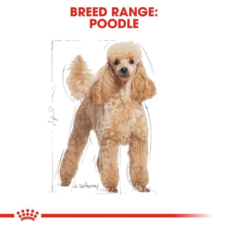 Royal Canin Poodle Adult 3kg Freshpacl / Makanan Anjing Poodle / Royal Canin Dry Dogfood