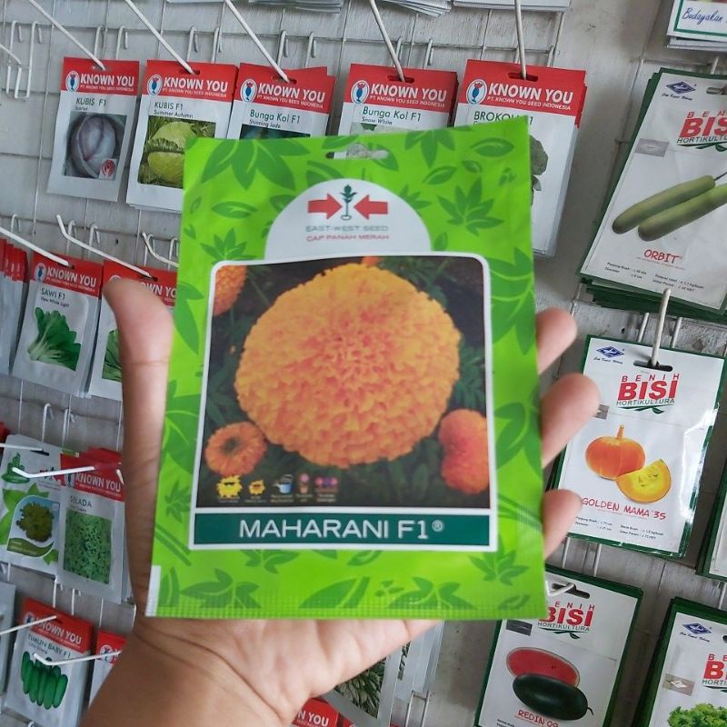 Benih Bunga Marigold MAHARANI isi 100 biji