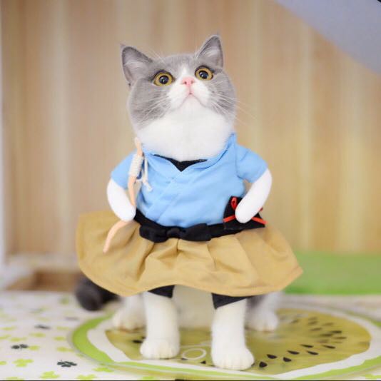 Pakaian Anjing Kucing Model Yin Yang Lucu Shopee Indonesia