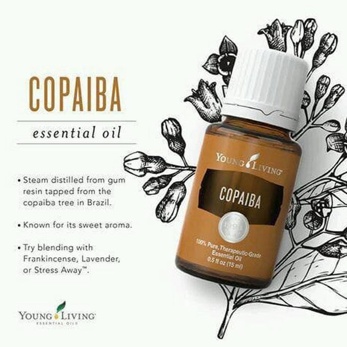 (Promo) YL Essential Oil Copaiba 15ml ORI 100%