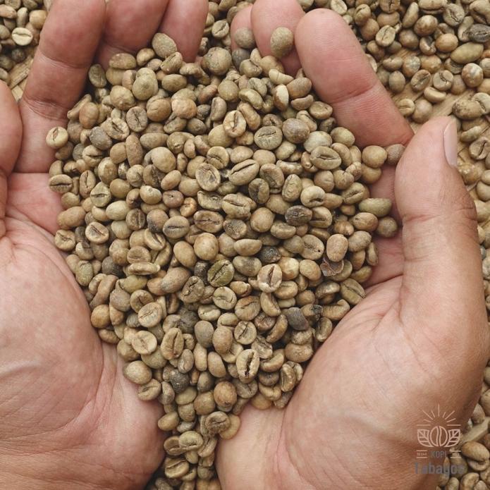 

DISCOUNT !!! 8.8 Green Bean Robusta Temanggung 1 Kg Grade Asalan Super [KODE 6]